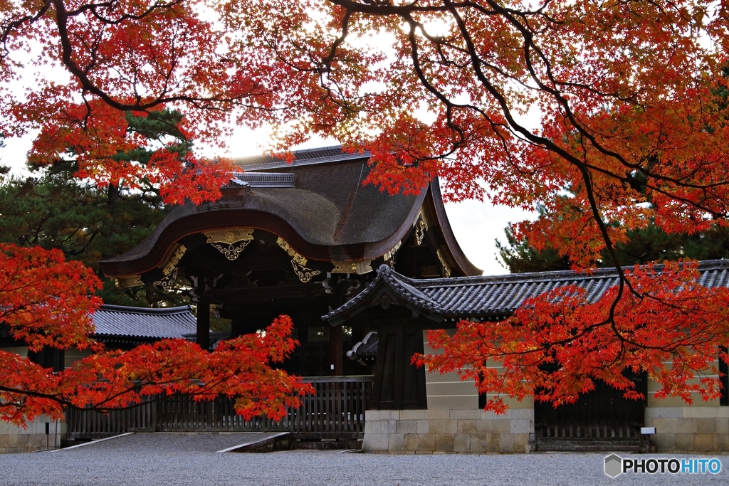 紅葉に包まれた建春門