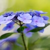 水彩描写のように