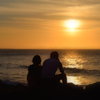 Melodies Of Love