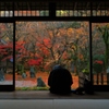 光明禅寺2009