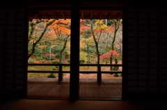 晩秋の光明禅寺Ⅰ