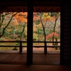 晩秋の光明禅寺Ⅰ