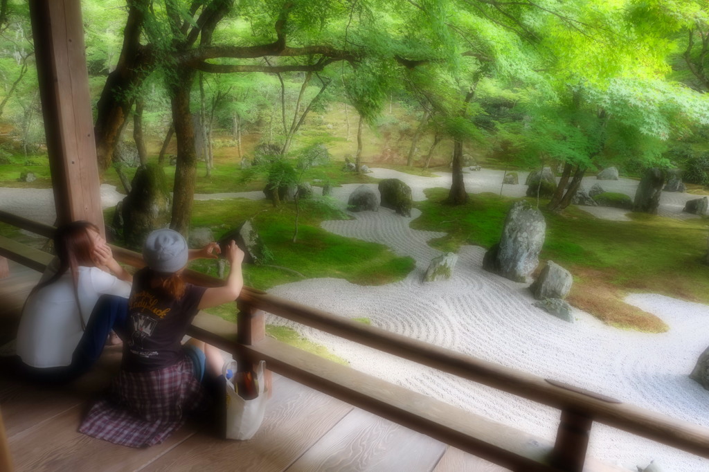 光明禅寺「癒しの空間」