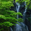 糸島の「白糸の滝」