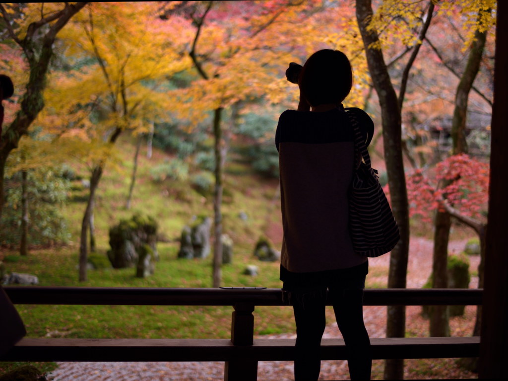 紅葉に魅せられて