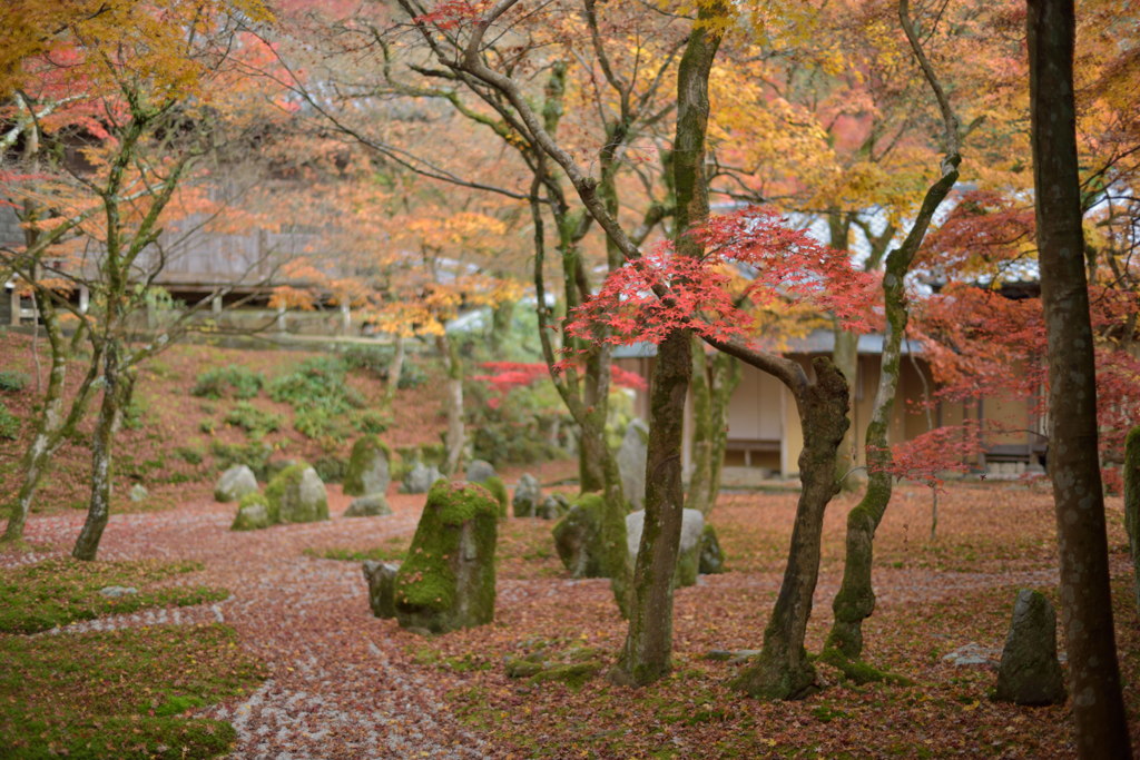 光明禅寺2014