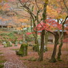 光明禅寺2014