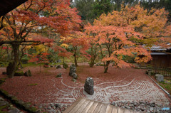 光明禅寺2015