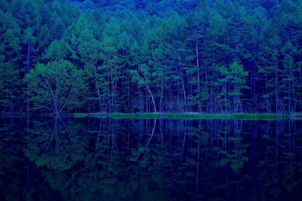 森深き幻の地