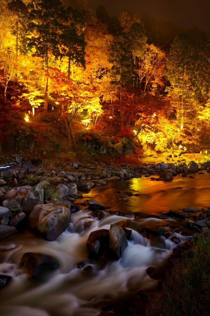 晩秋の渓流