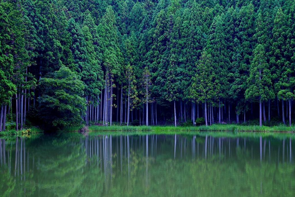 静寂の泉