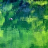 迷い込んだ初夏の世界