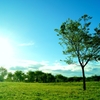 Feel Wind