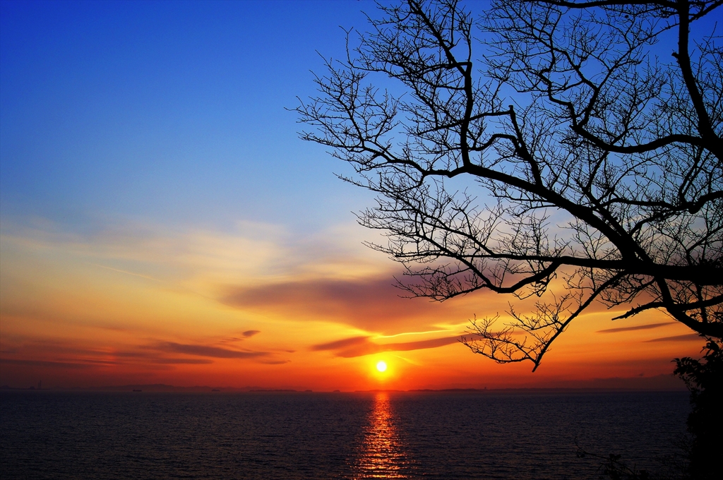 冬の夕日