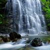 Sound of Nature