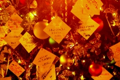 Pure Wishes