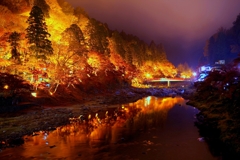 晩秋の水面