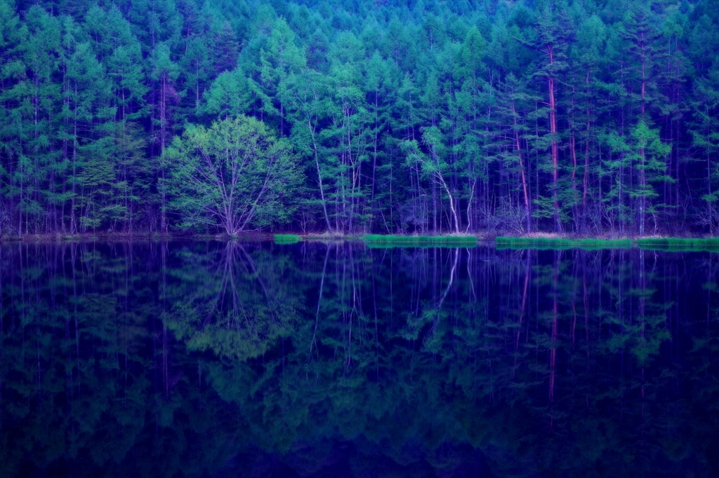 幽玄なる泉