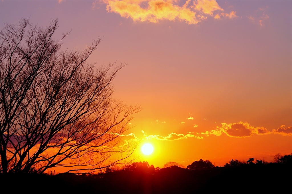 Winter Sky