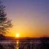 木立も見守る夕日