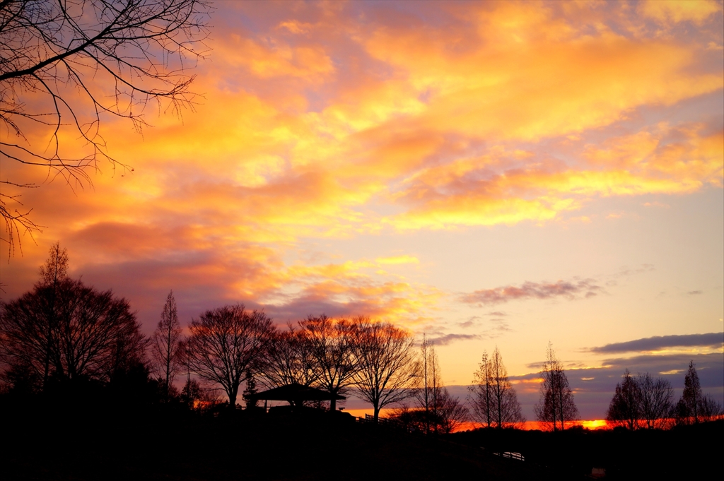 冬の夕空