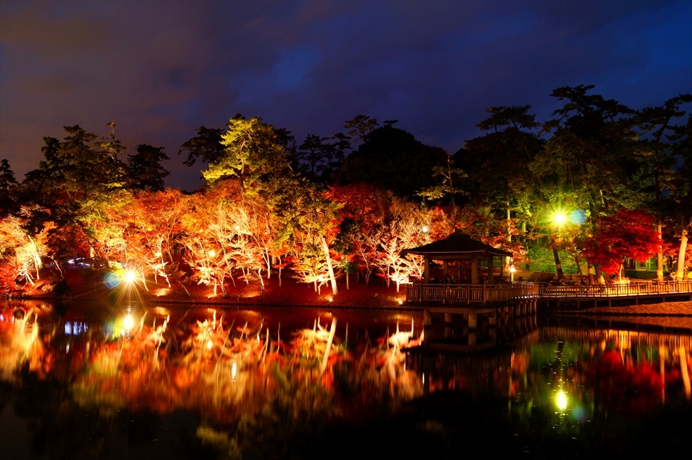 晩秋の水辺