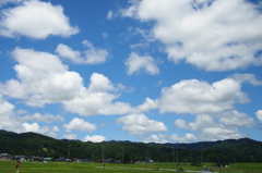 久しぶりの青空