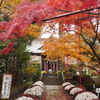 神社の紅葉*°