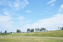 いつかの風景