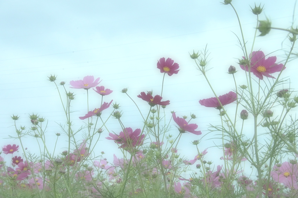 夢の中へ