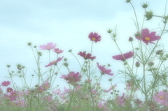 夢の中へ