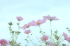 夢の中へ｡｡再び