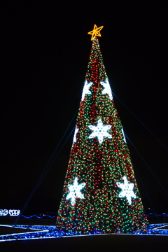 クリスマスカラー