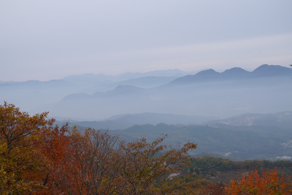 紅葉と山霧