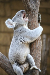 植物園・動物園-10