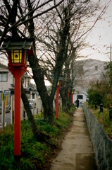 平野神社