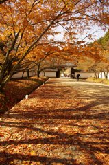 醍醐寺
