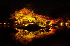 玄宮園
