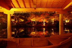 綾部もみじ祭り