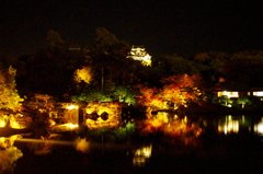 彦根城
