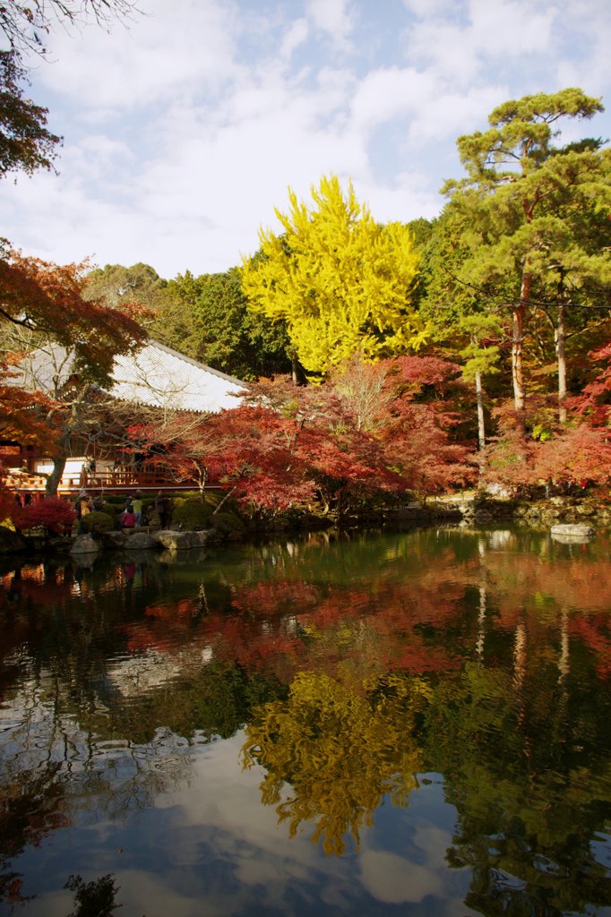 醍醐寺