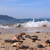 灯台のある浜辺
