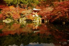 醍醐寺