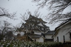 彦根城と冬