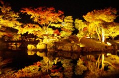 玄宮園
