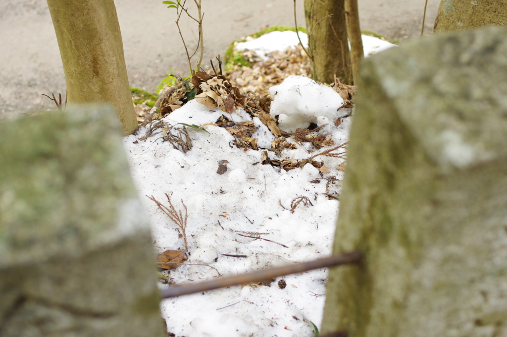 残り雪