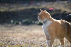 視線の先には