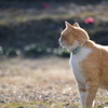 視線の先には