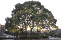 L1000062