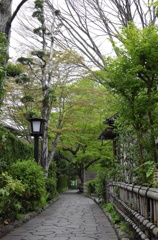 Syuzenji Hot Springs